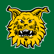 www.ilves.com