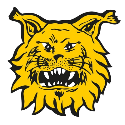 Tampereen Ilves