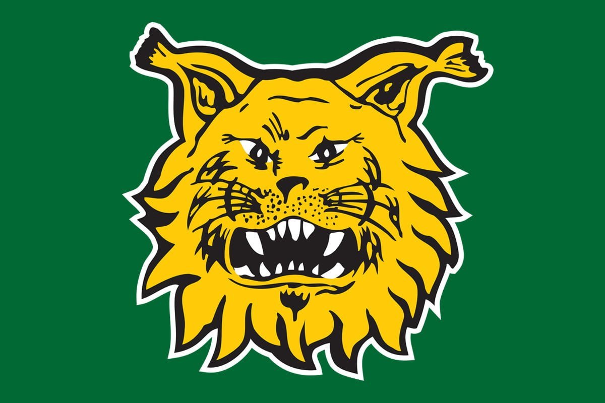 www.ilves.com