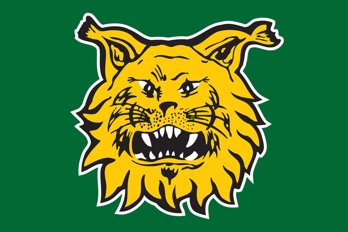 www.ilves.com