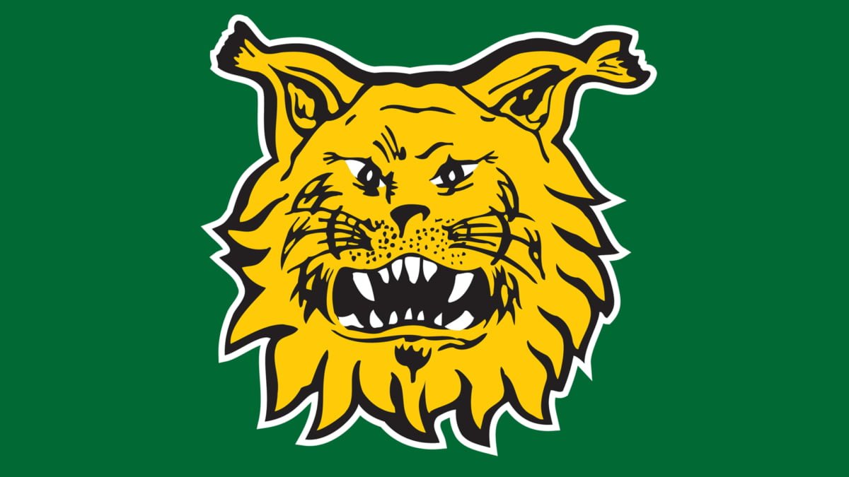 www.ilves.com