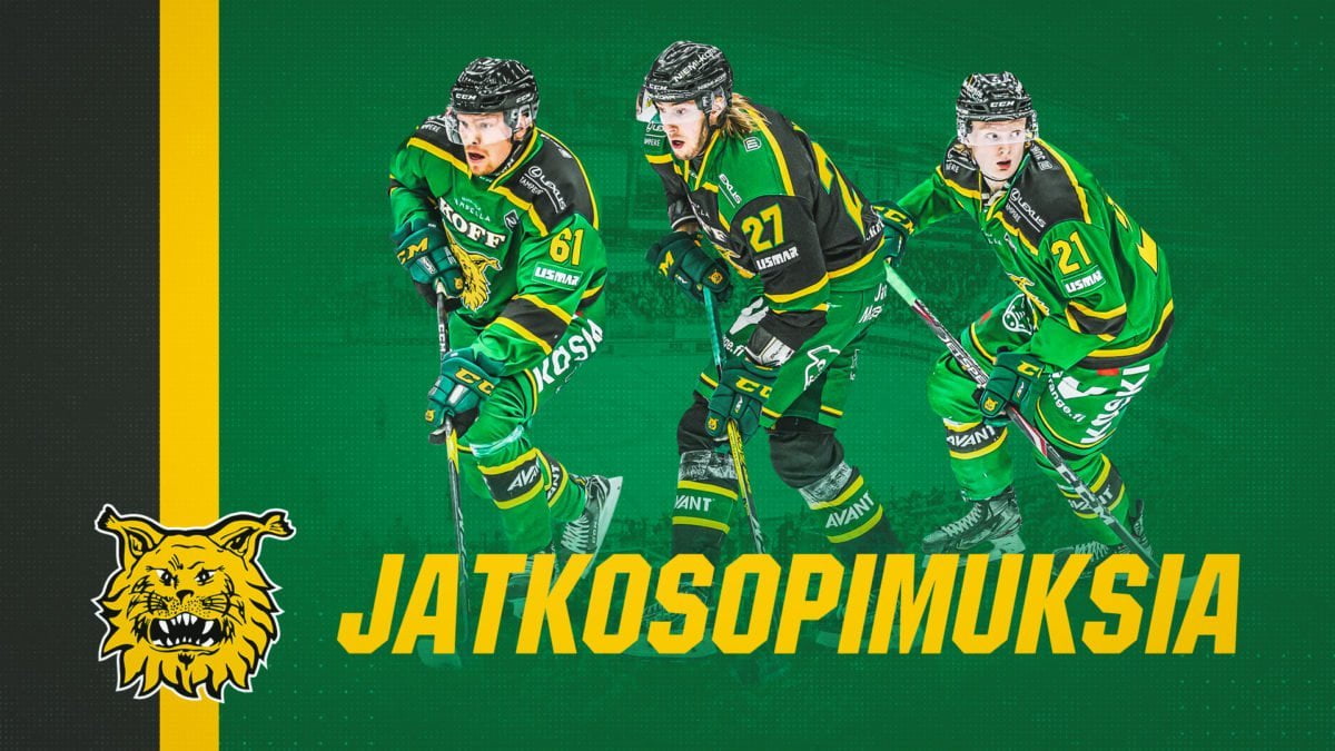 www.ilves.com