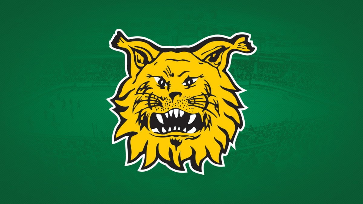 www.ilves.com