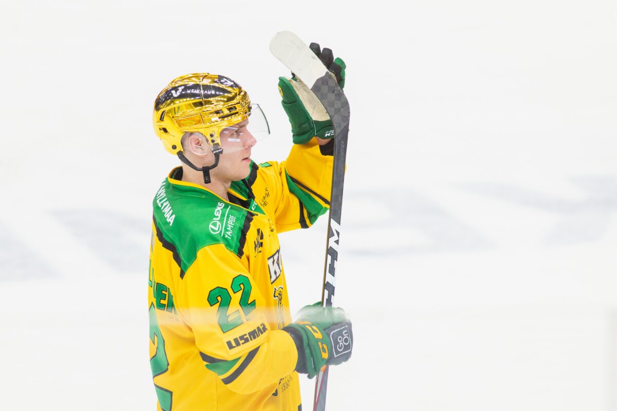 www.ilves.com