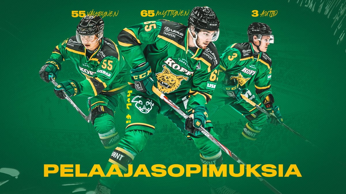 www.ilves.com