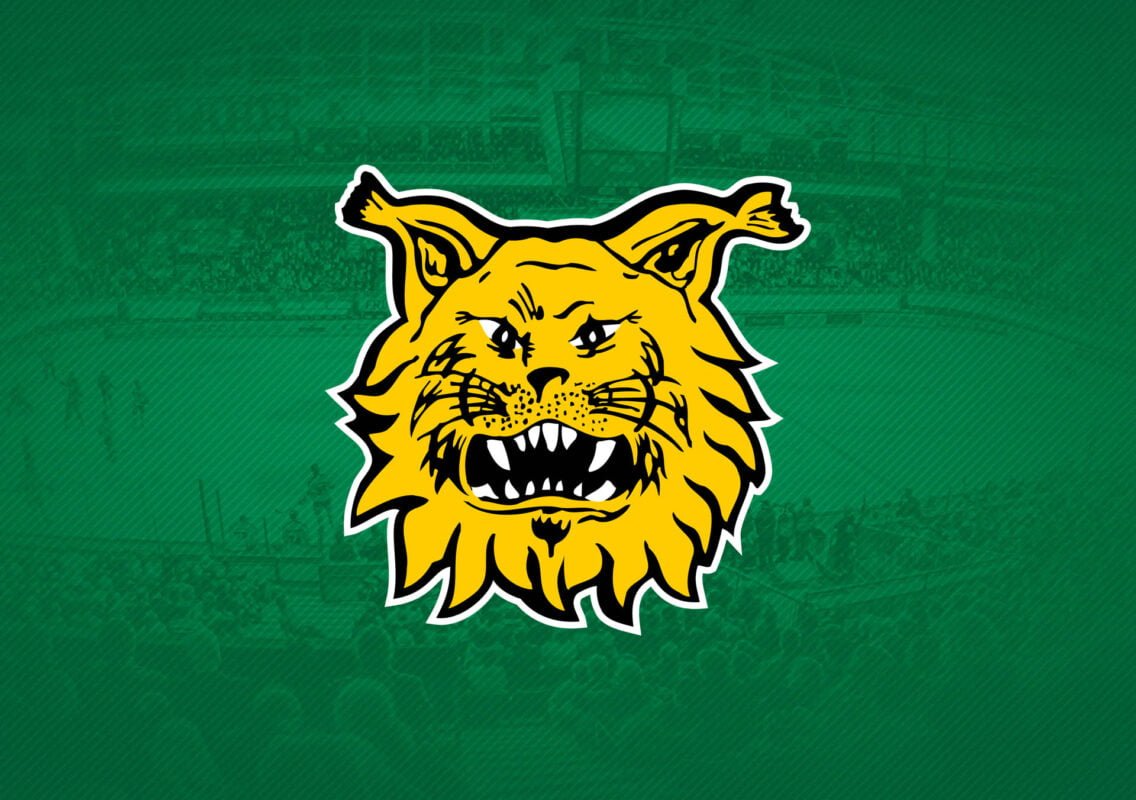 www.ilves.com