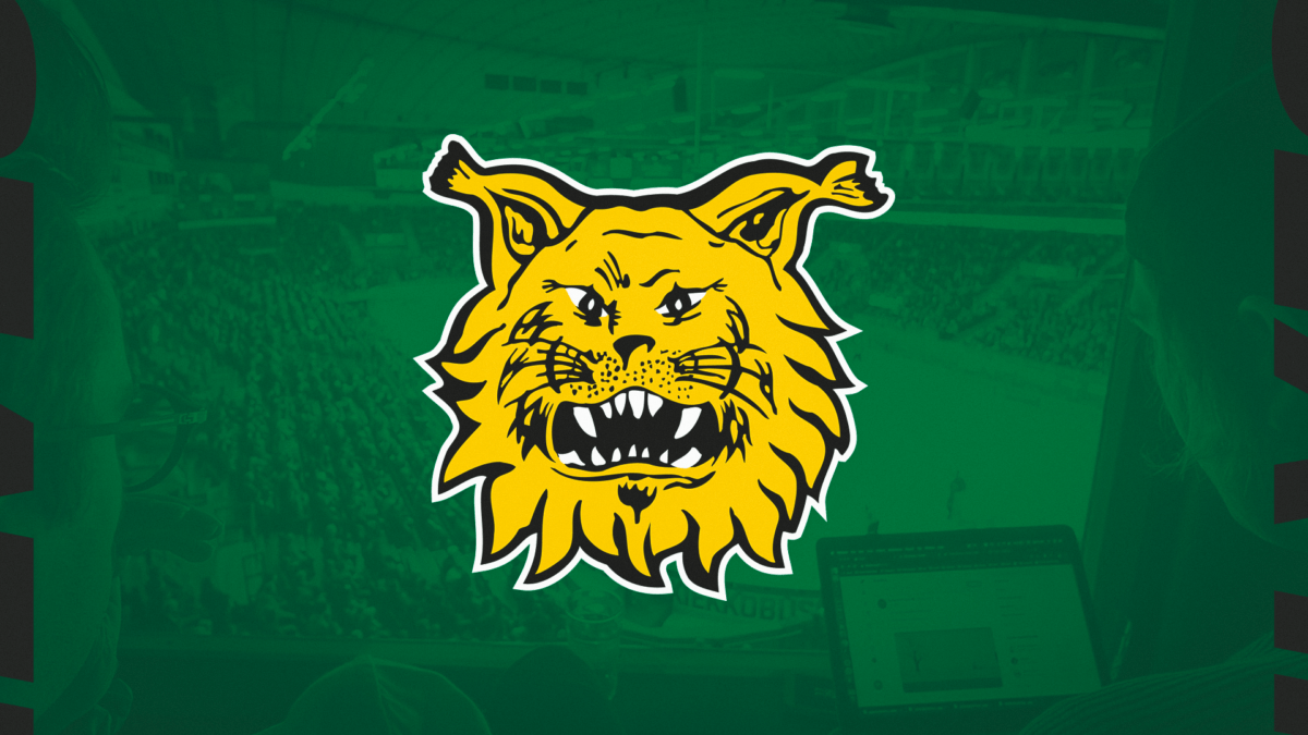 www.ilves.com