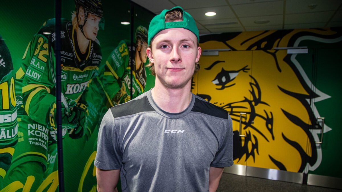 www.ilves.com