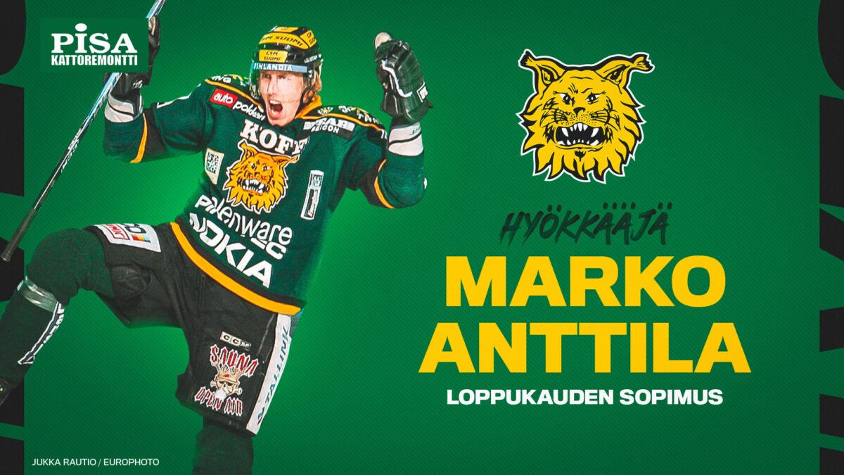 www.ilves.com