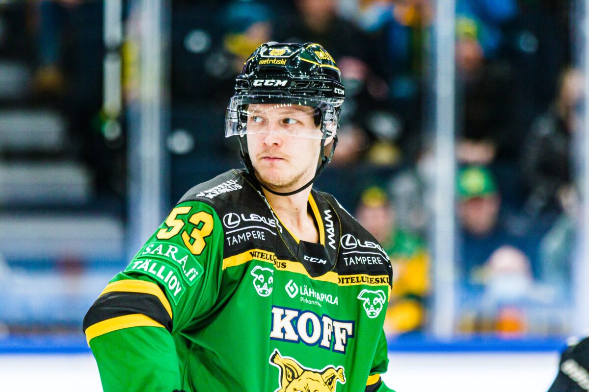 www.ilves.com