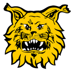 mm22.ilves.com