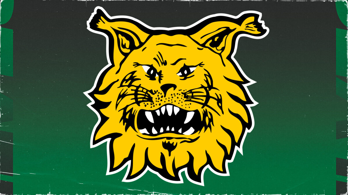 www.ilves.com