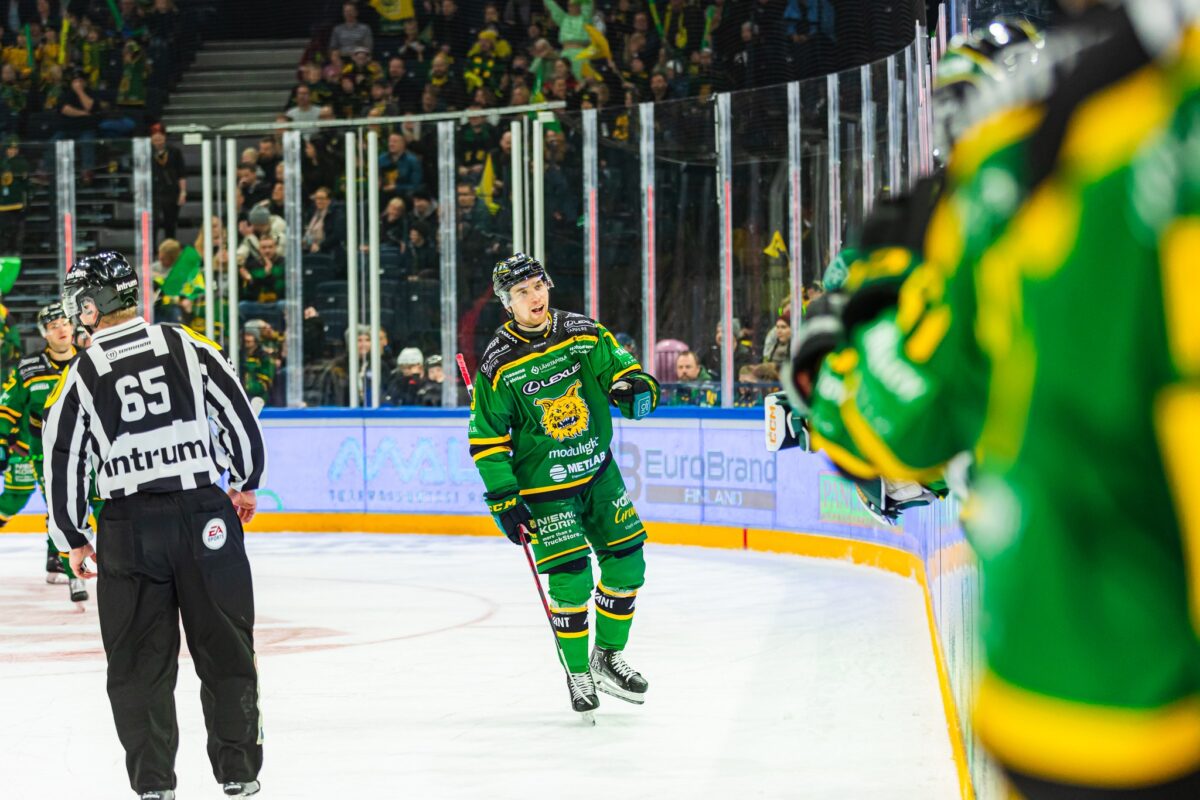 www.ilves.com