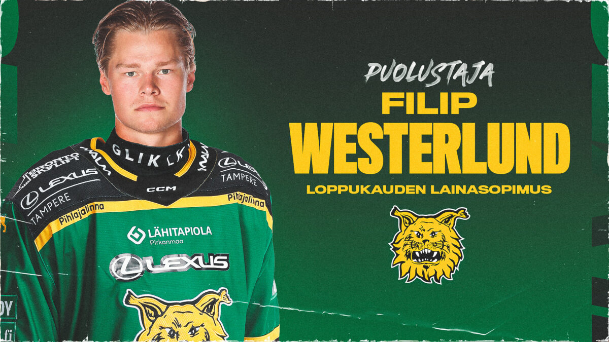 www.ilves.com