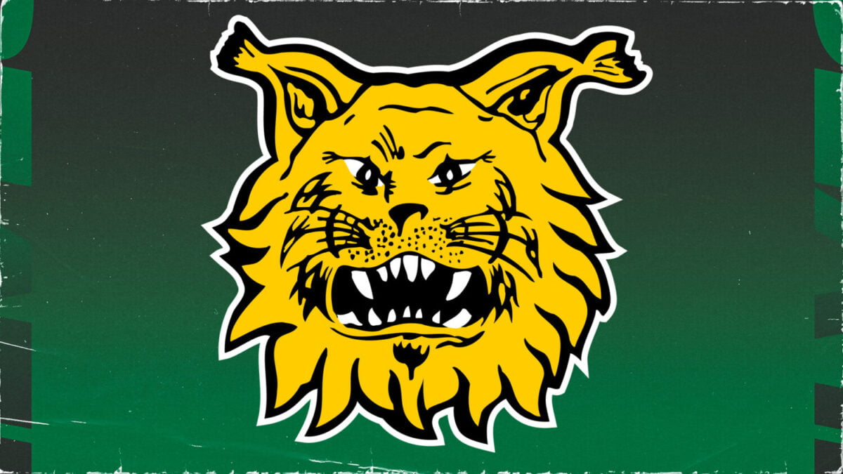 www.ilves.com