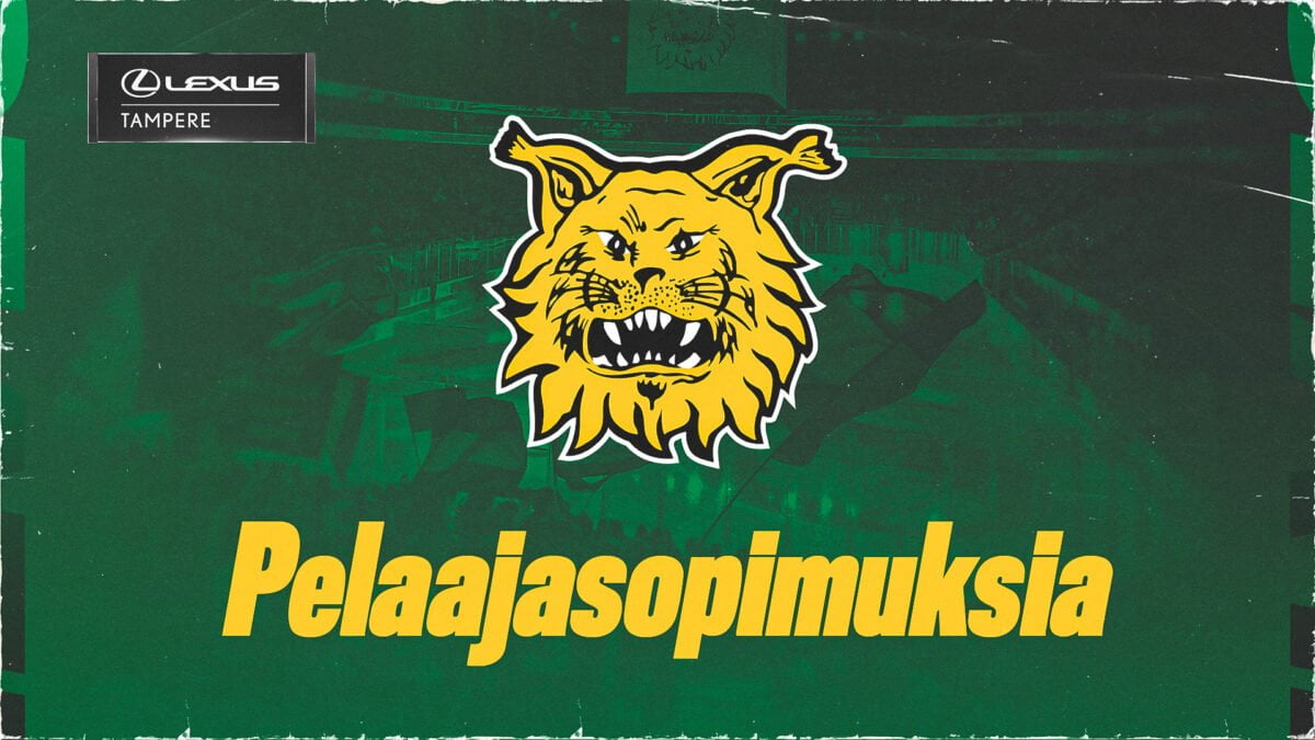 www.ilves.com