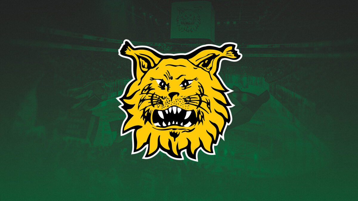 www.ilves.com