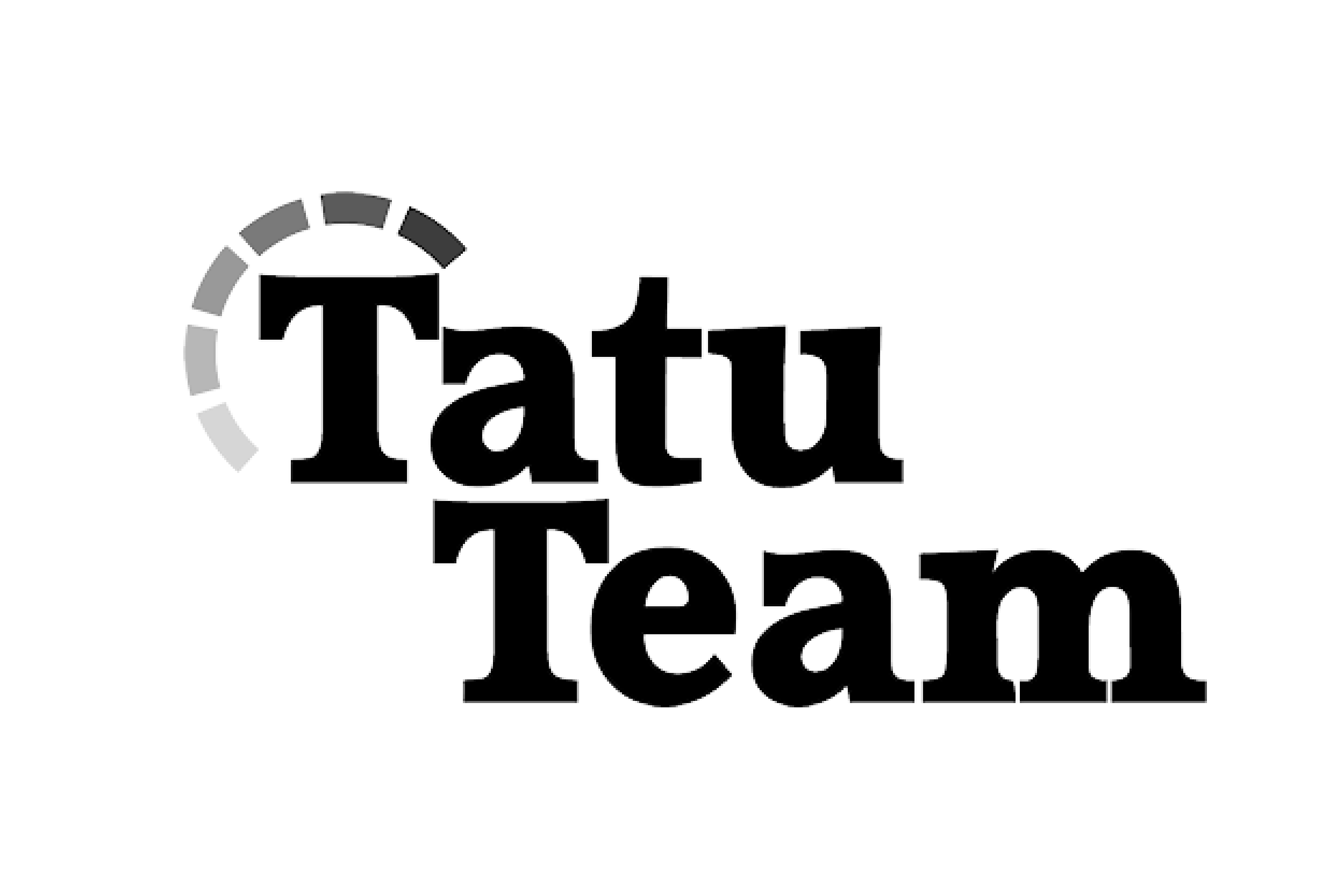 Ilves-Verkosto -  Tatu Team Oy