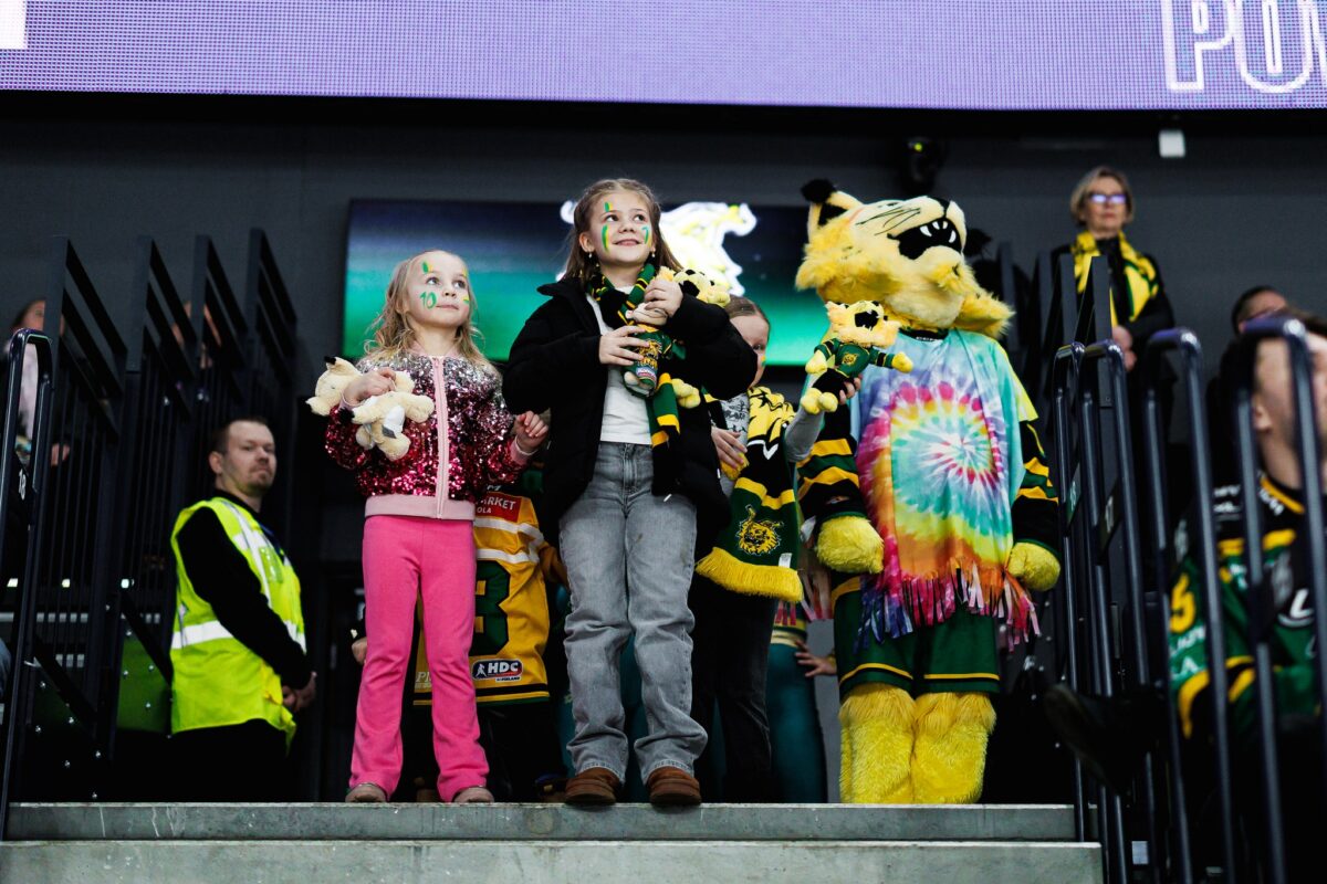 www.ilves.com