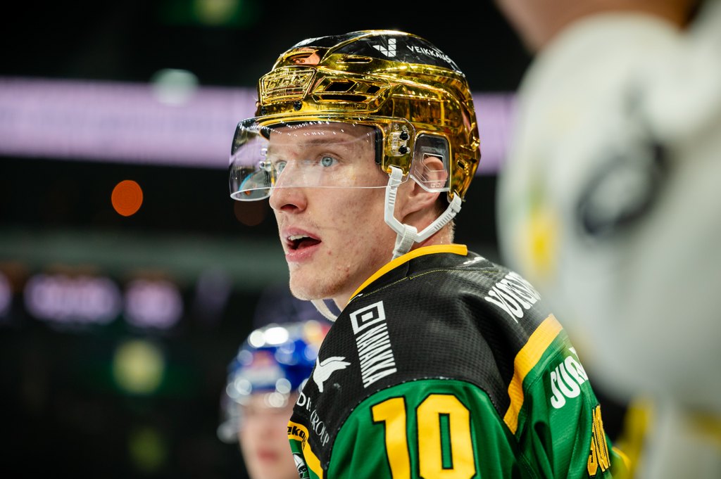 www.ilves.com