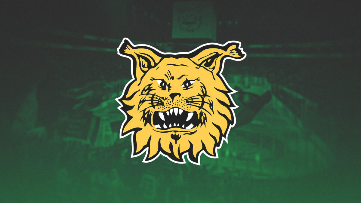 www.ilves.com