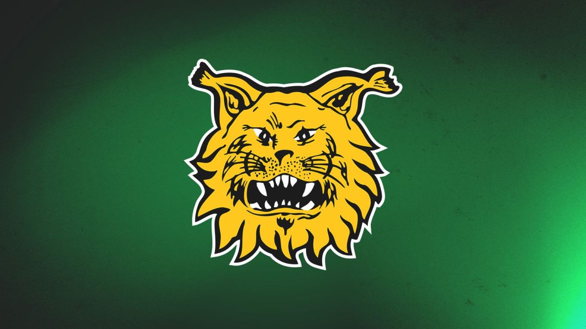 www.ilves.com