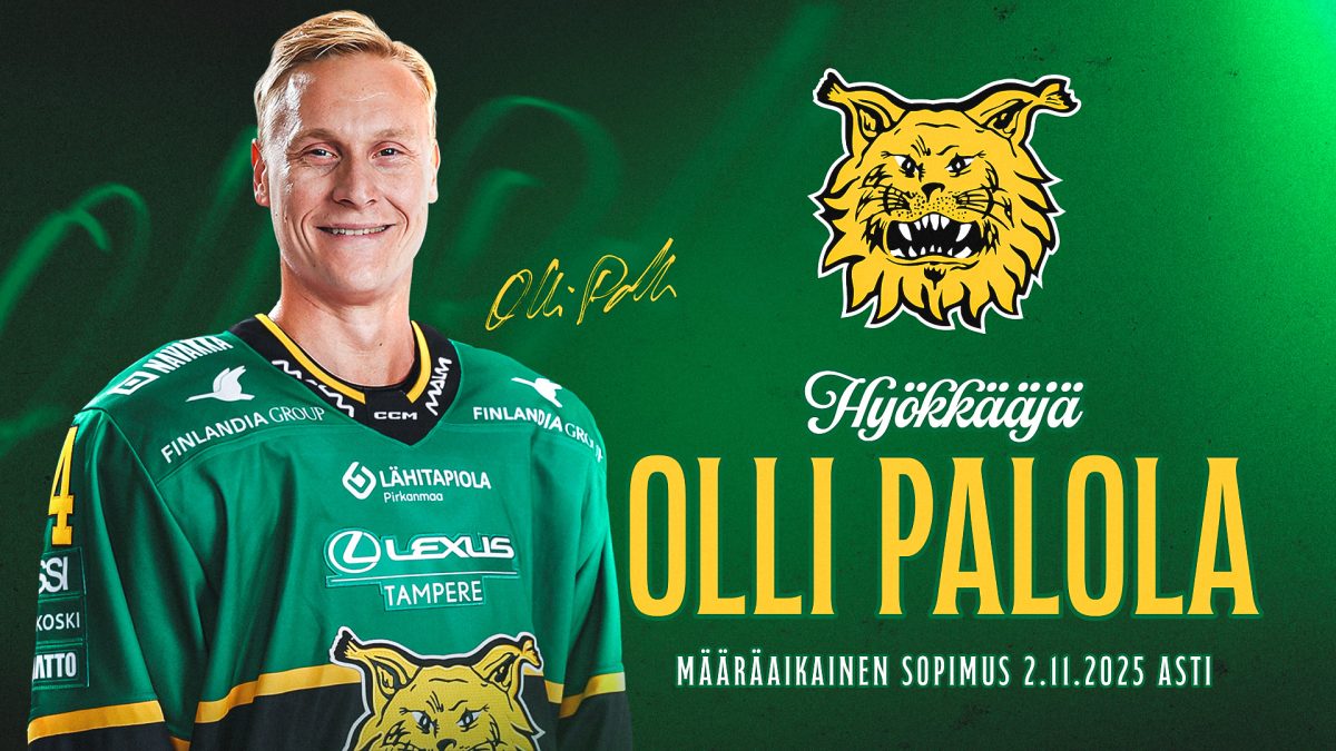 www.ilves.com