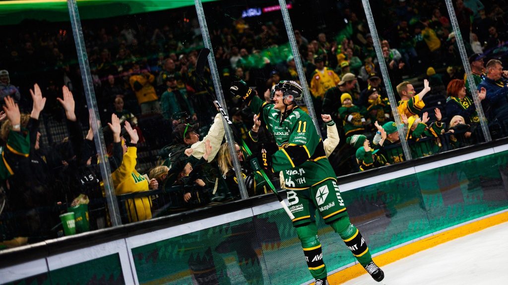 www.ilves.com